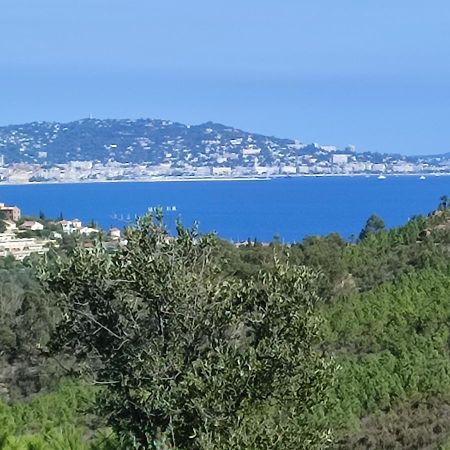 Le Jasmin Appartement Mandelieu Buitenkant foto