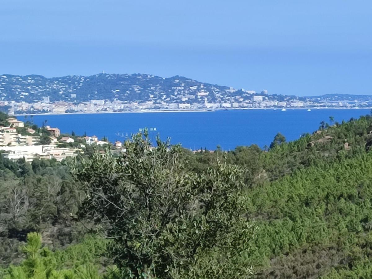 Le Jasmin Appartement Mandelieu Buitenkant foto